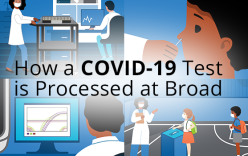 Illustrated images of the testing and test processing process with text How a COVID-19 Test is Processed at Broad