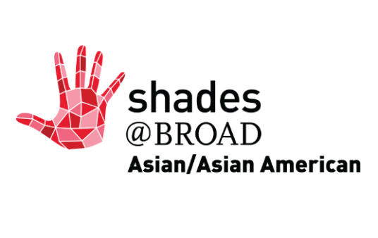 Shades AAA logo
